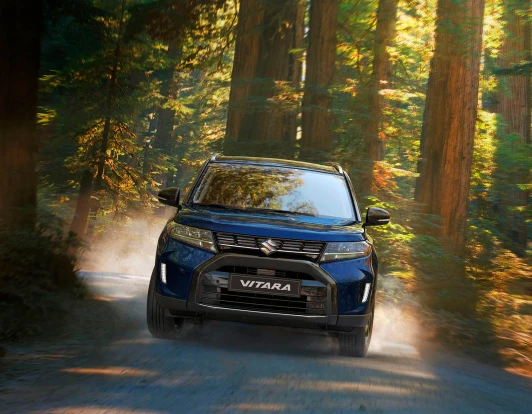vitara_various_327
